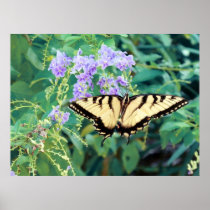 Mariposa amarilla en las flores púrpuras posters