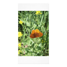 Mariposa anaranjada tarjetas con fotos personalizadas