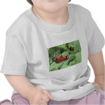 Mariposa anaranjada tropical camisetas