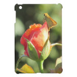 Mariposa ardiente del capitán en capullo de rosa iPad mini funda