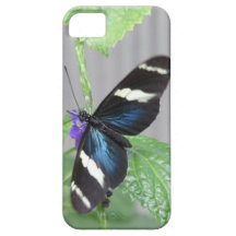 Mariposa azul, blanco y negro iPhone 5 fundas