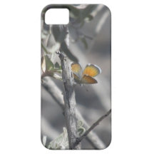 Mariposa azul enana occidental iPhone 5 protector