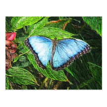 Mariposa azul tarjeta postal