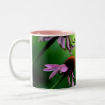 Mariposa blanca en la taza rosada de Coneflower