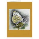 Mariposa blanca veteada verde felicitacion 