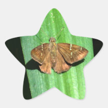 Mariposa de Brown con los puntos verdes en la hoja Pegatinas