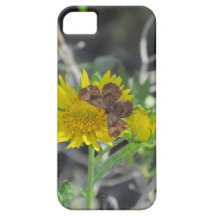 Mariposa de Brown en la flor amarilla iPhone 5 Case-Mate Carcasa