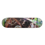 Mariposa de las mariposas monopatín