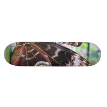 Mariposa de las mariposas monopatín