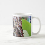 Mariposa de las mariposas taza