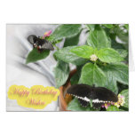 Mariposa de los deseos del cumpleaños felicitaciones
