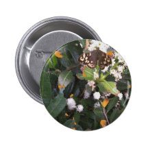 Mariposa de madera manchada pins
