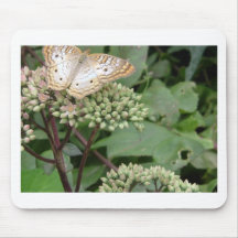 Mariposa de Monarach del platino Alfombrilla De Ratones