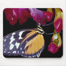Mariposa de monarca alfombrilla de ratón