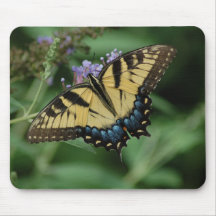 mariposa de monarca alfombrillas de ratones