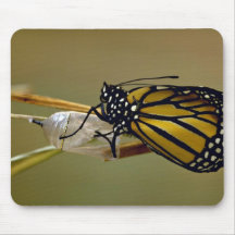 Mariposa de monarca emergente tapete de raton