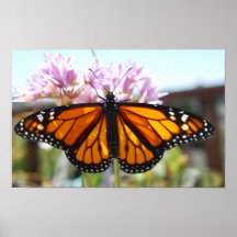 Mariposa de monarca en estampado de flores impresiones