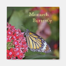 Mariposa de monarca iman para frigorífico