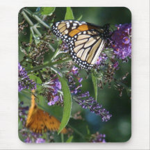 Mariposa de monarca Mousepad