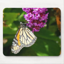 Mariposa de monarca Mousepad Alfombrillas De Raton