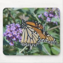 Mariposa de monarca Mousepad Tapetes De Raton