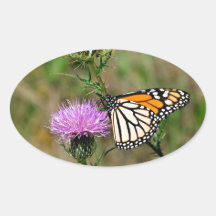 Mariposa de monarca calcomanías ovaladas personalizadas