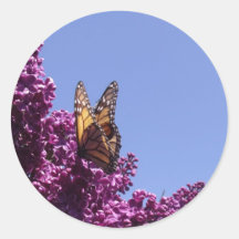 Mariposa de monarca pegatina