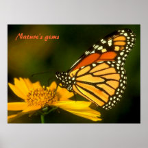 Mariposa de monarca por tasullivan poster