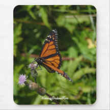 Mariposa de monarca tapete de raton