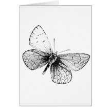 Mariposa del arte pop tarjeta