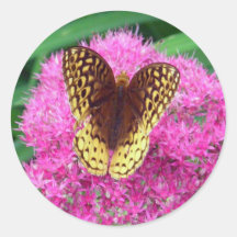 Mariposa del Fritillary en la flor de Fuschia Etiquetas Redondas