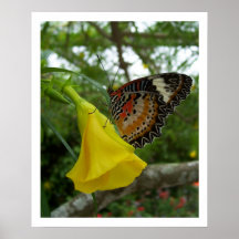 Mariposa del Lacewing Impresiones
