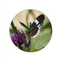 Mariposa en el reloj de pared púrpura de la flor
