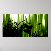 Mariposa en Gras. Poster