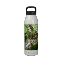 Mariposa en la botella de agua de la hoja