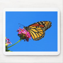 Mariposa en la comida fría alfombrilla de raton