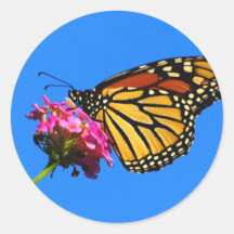 Mariposa en la comida fría etiqueta