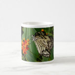 Mariposa en la flor anaranjada tazas de café