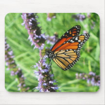 Mariposa en la flor Mousepad Alfombrilla De Raton