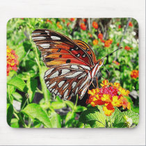 mariposa en la flor alfombrillas de raton 