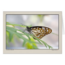 Mariposa en la hoja del roble tarjetón