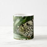 Mariposa en la hoja tazas de café