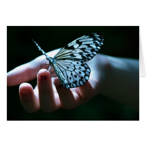 mariposa en la mano tarjeta
