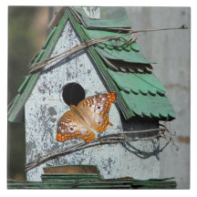 Mariposa en la teja del Birdhouse