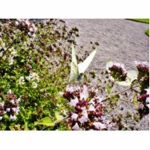 Mariposa en las flores escultura fotografica