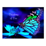 Mariposa en luz azul - pensando en usted postal