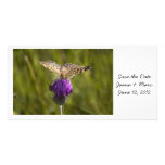 Mariposa en reserva púrpura de la flor la tarjeta  plantilla para tarjeta de foto