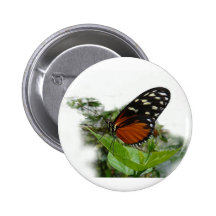 Mariposa en una planta en el jardín, pin