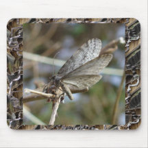 Mariposa en una ramita tapetes de raton