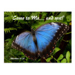 Mariposa exótica azul tarjeta postal